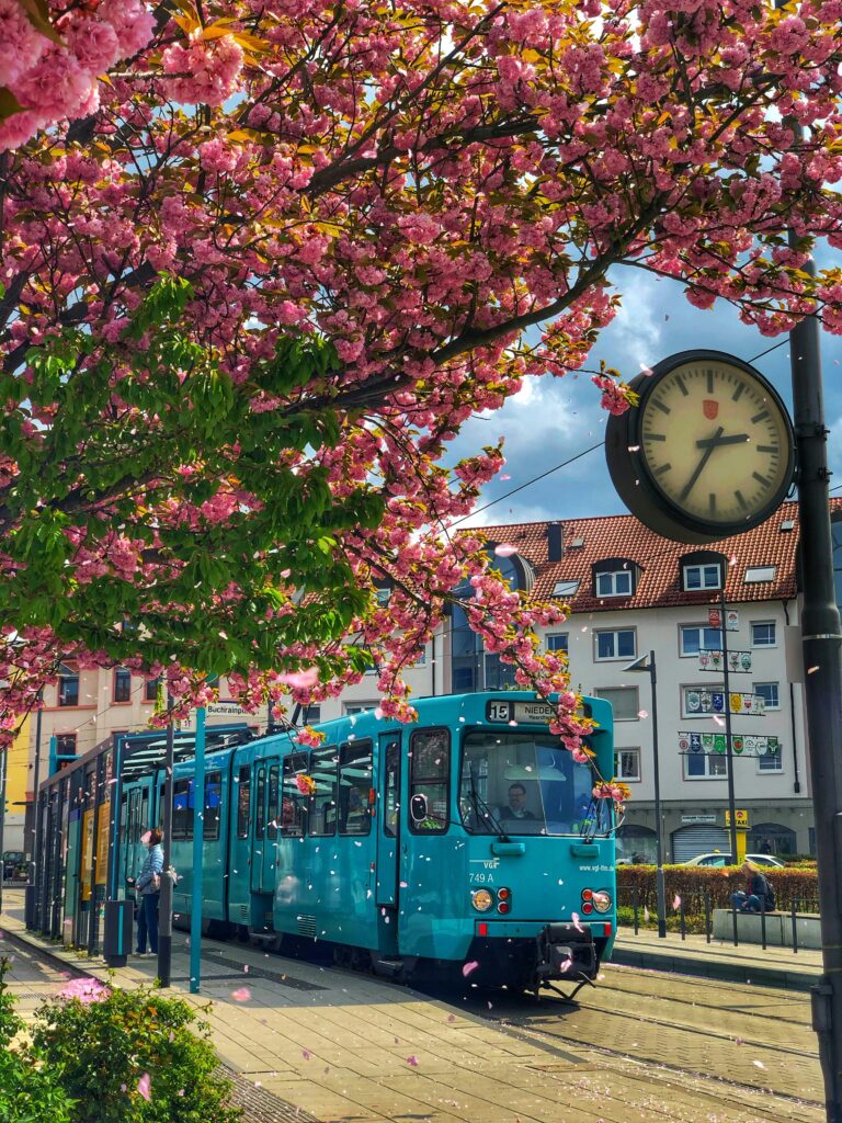 staedtereise-deutschland-frankfurt-kiran-reddy-unsplash