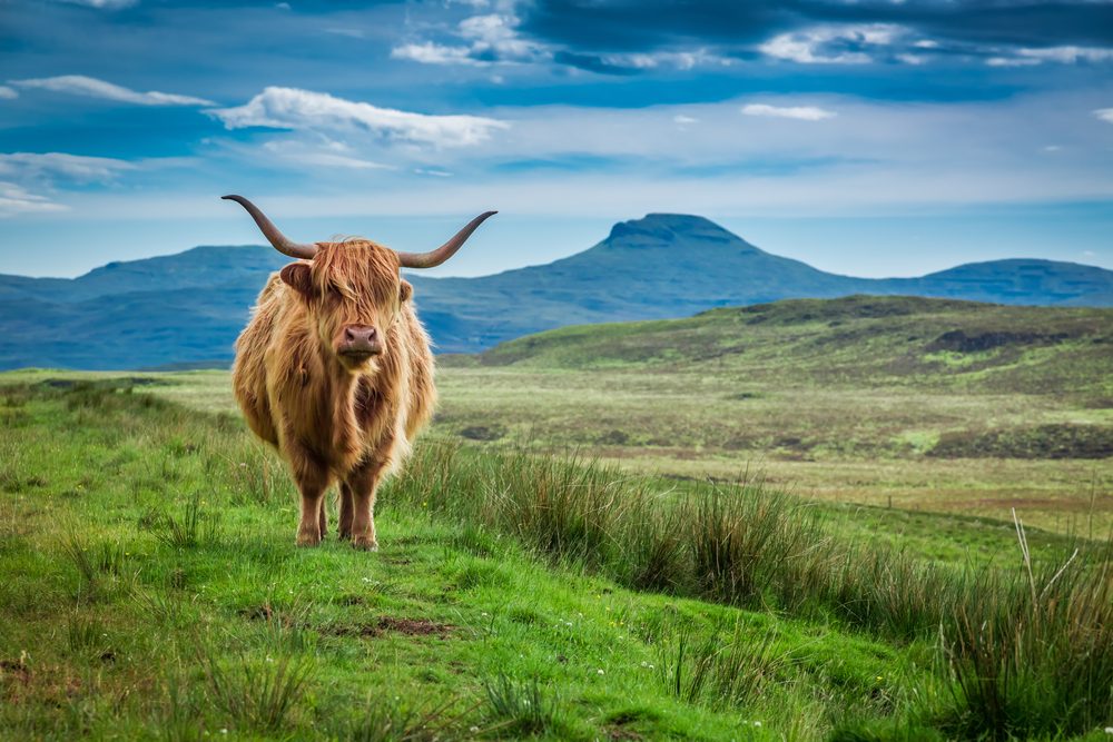 staedtereisen-grossbritannien-schottlandhighlands_shutterstock-622531343