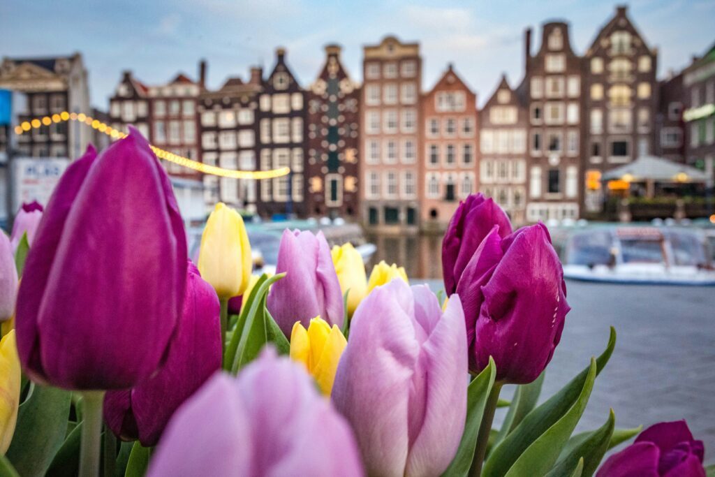 staedtereisen-niederlande-amsterdam-catalina-fedorova-RRl_m_fQzNY-unsplash