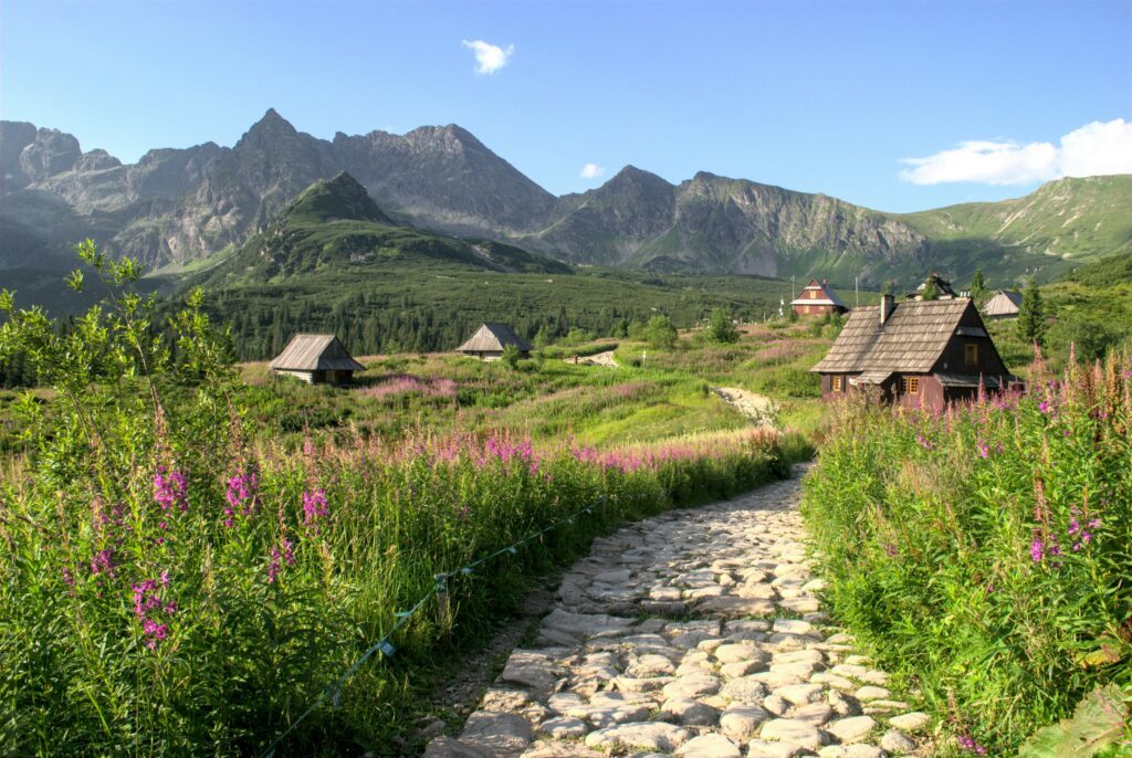 staedtereisen-polen-krakau-zakopane-mateusz-bajdak-Z9X936FC8gM-unsplash