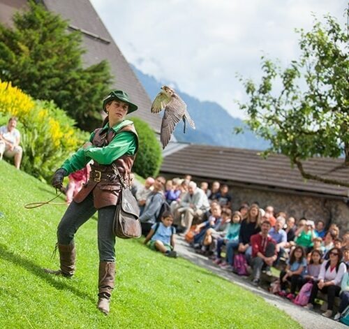 youngaustria-burg-hohenwerfen-schulausflug-e1694090423762