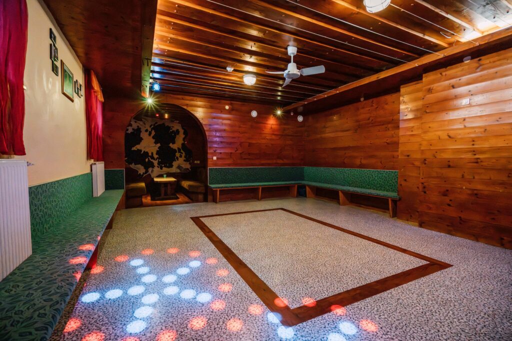youngaustria-erlebnisgaestehaus-peilsteinhof-disco-1