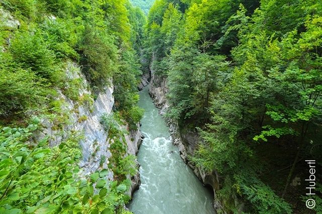 youngaustria-salzachoefen-ausflug