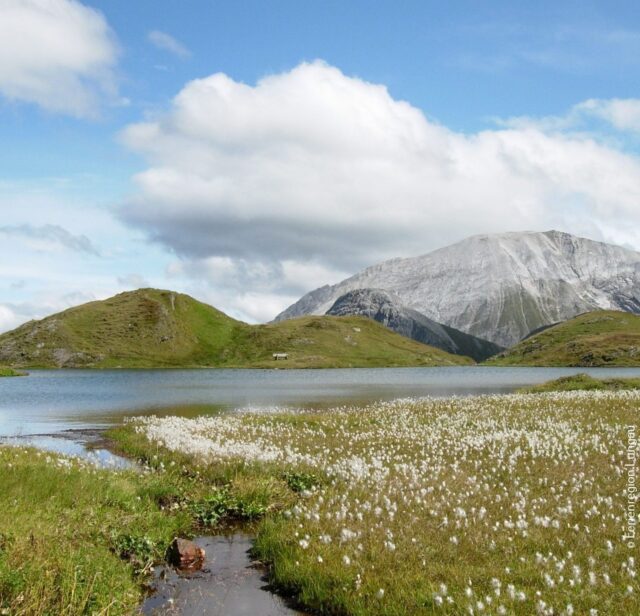 youngaustria-sommerregion-salzburger-land