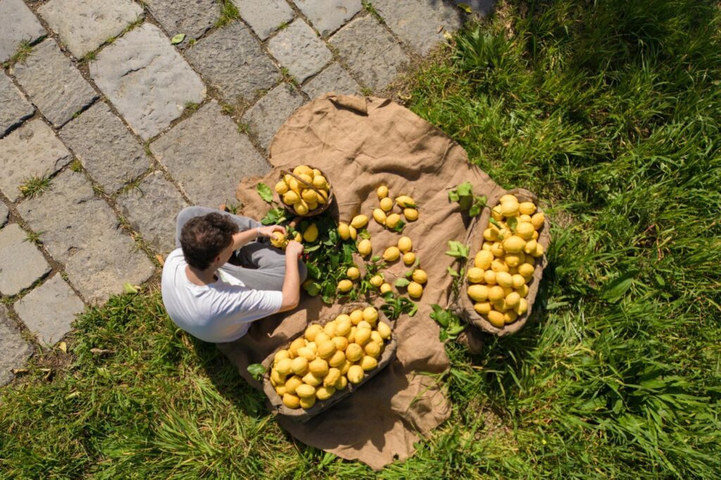 staedtereisen-italien-sorrent-zitronen