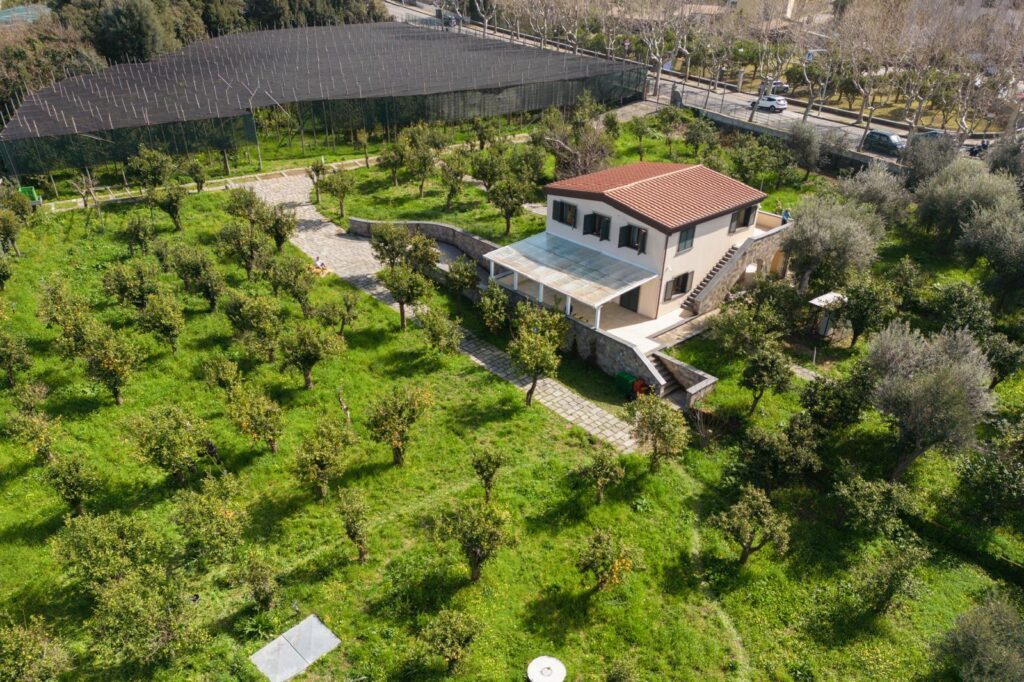 staedtereisen-italien-sorrent-zitronengarten