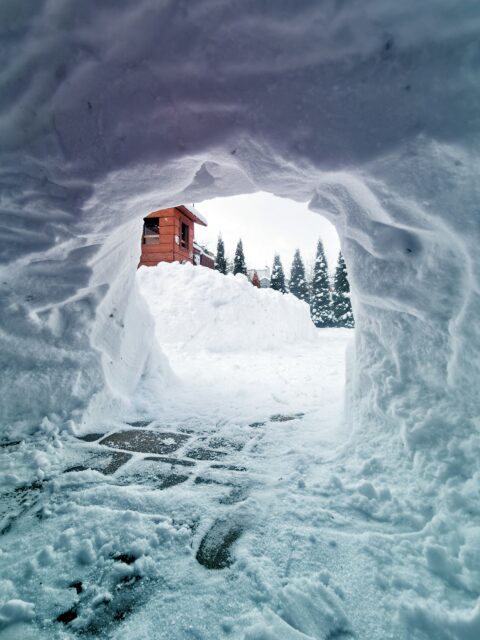 youngaustria-wintersportwoche-alternativprogramm-iglu-michal-mancewicz-unsplash