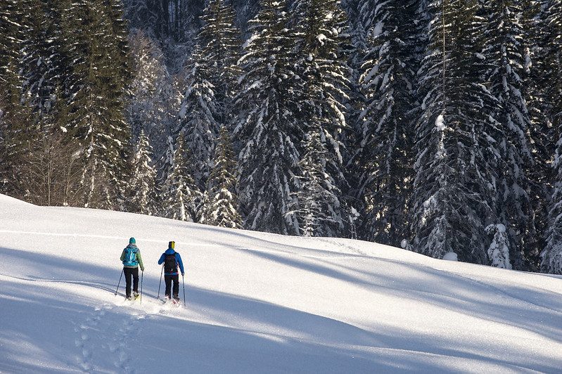 youngaustria-wintersportwoche-alternativprogramm-schneeschuhwandern
