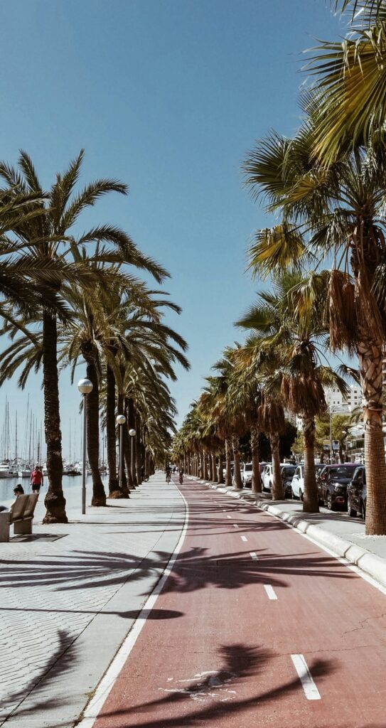 staedtereisen-spanien-mallorca-sara-darcaj-swAWzza3rOc